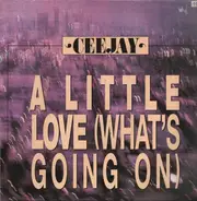 Ceejay - A Little Love (What's Going On)