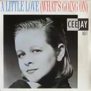 12inch Vinyl Single - Ceejay - A Little Love (What's Going On)