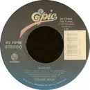 7inch Vinyl Single - Céline Dion - Misled