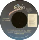 7inch Vinyl Single - Céline Dion - Nothing Broken But My Heart / Unison