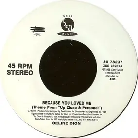 Celine Dion - Because You Loved Me