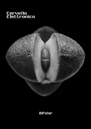 Cervello Elettronico - Bipolar
