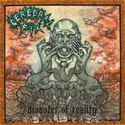 cerebral fix - Disaster Of Reality
