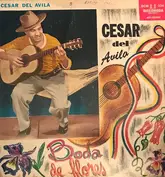César Del Ávila