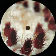 12inch Vinyl Single - Cesare vs. Disorder - Wide Close Up EP