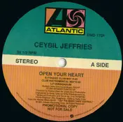 Ceybil Jefferies - Open Your Heart