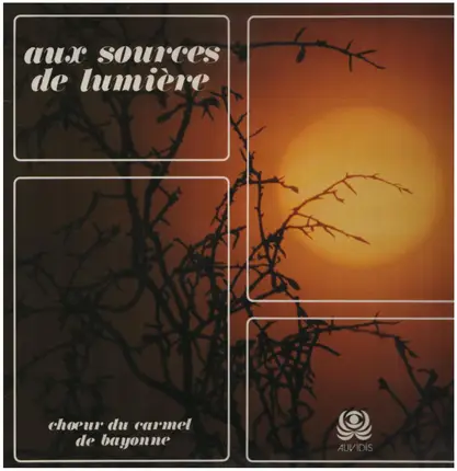 Choeur Deu Carmel De Bayonne - Aux Sources De Lumière