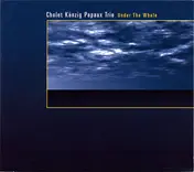 Cholet Känzig Papaux Trio - Under The Whale