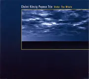 CD - Cholet Känzig Papaux Trio - Under The Whale