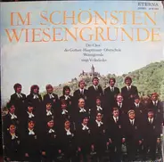 Chor Der Gerhart-Hauptmann-Oberschule Wernigerode - Im Schönsten Wiesengrunde