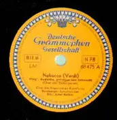 Bamberger Symphoniker - Nabuco: Flieg', Gedanke, getragen von Sehnsucht  / Welche Klage muß ich nun vernehmen?