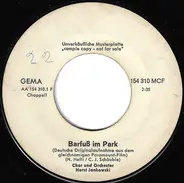 Chor Und Orchester Horst Jankowski - Barfuß Im Park