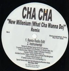 Cha Cha - New Millenium (What Cha Wanna Do) Remix