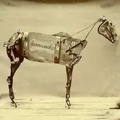 CHADWICK STOKES - The Horse Comanche