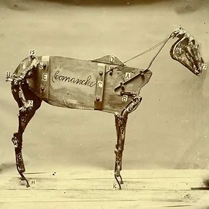 CHADWICK STOKES - The Horse Comanche