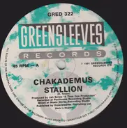 Chaka Demus , Wayne Fire - Stallion / New Thing