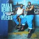 12inch Vinyl Single - Chaka Demus & Pliers - Every Kinda People