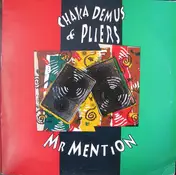 Chaka Demus & Pliers - Mr Mention