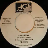 Chaka Demus & Pliers - Uprising