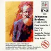 CD-Box - Chamber Music - J. Brahms: Piano Sonata No. 1
