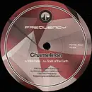 12inch Vinyl Single - Chameleon - Miss India / Spirit Of The Earth