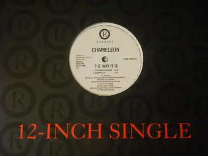Chameleon - The Way It Is