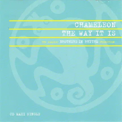 Chameleon - The Way It Is
