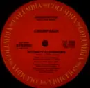 12inch Vinyl Single - Champaign - Intimate Strangers