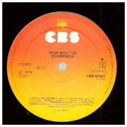 LP - Champaign - How 'bout us
