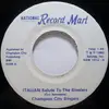 7inch Vinyl Single - Champion City Singers - Jewish Salute To The Steelers