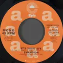 7inch Vinyl Single - Champion - It's Your Life