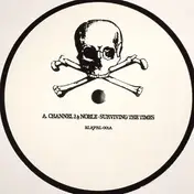 Channel 2 - Surviving The Times / Flip It