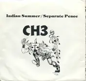 Channel 3 - Indian Summer / Separate Peace