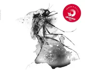 Channel X - Mosquito