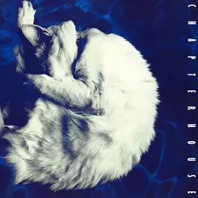 Chapterhouse - Whirlpool