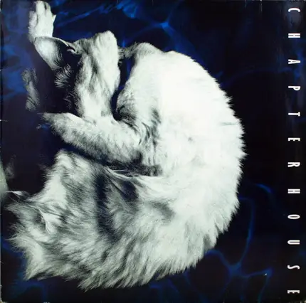 Chapterhouse - Whirlpool