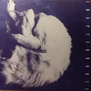 LP - Chapterhouse - Whirlpool - 180g, Insert