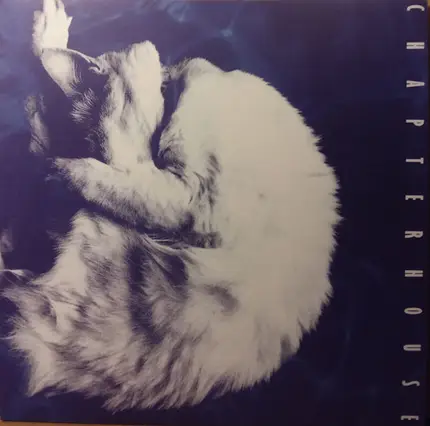 Chapterhouse - Whirlpool