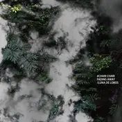 Chari Chari - Fading Away / Luna De Lobos