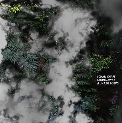 Chari Chari - Fading Away / Luna De Lobos