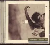 Chari Chari - In Time