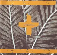 Chari Chari - Spring to Summer