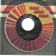 7inch Vinyl Single - Charley Pride - A Whole Lotta Things To Sing About