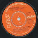 7inch Vinyl Single - Charley Pride - Someone Loves You Honey