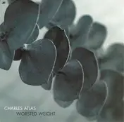 Charles Atlas - Worsted Weight