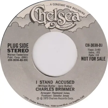 Charles Brimmer - I Stand Accused