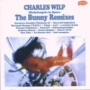 Charles Wilp - Michaelangelo In Space