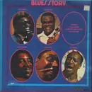 Double LP - Charles, Ray / King, Freddie / u. a. - Blues Story