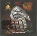 CD - Charlie Sexton Sextet - Under The Wishing Tree