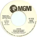 7inch Vinyl Single - Charlynn Mabey - I Am Me